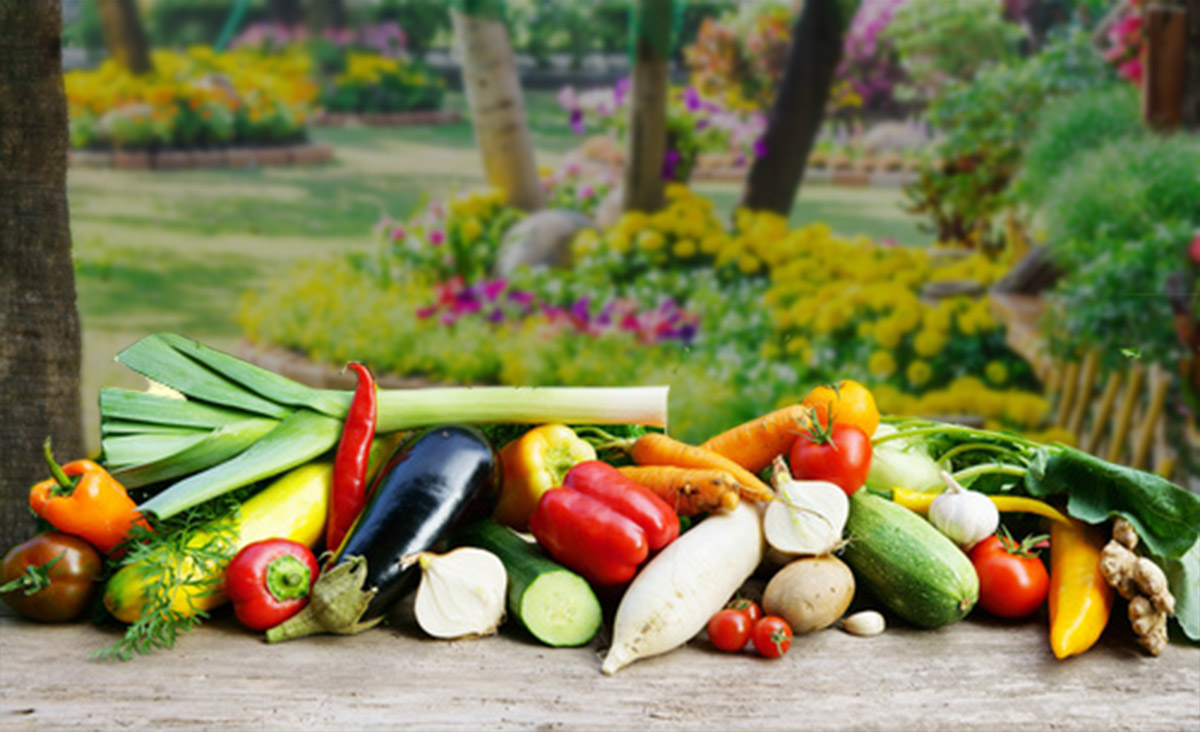 Nutrirsi bene senza far soffrire nessuno